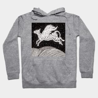 Flying Fantasy Cat Hoodie